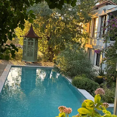 Maison Blanche * Ним